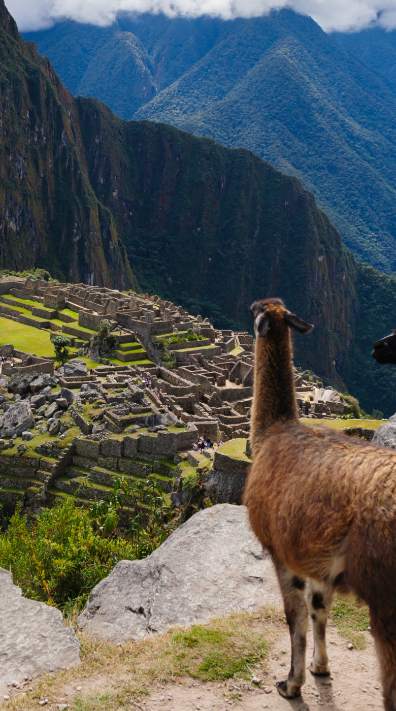 マチュピチュの画像