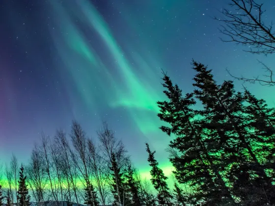 オーロラの画像